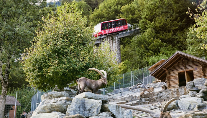 Harder Kulm Tickets