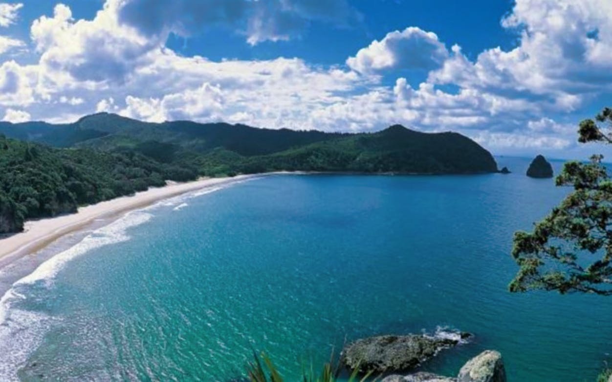 Coromandel Peninsula coastline with lush hills and clear blue water.