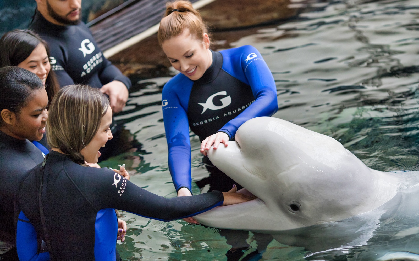 Georgia Aquarium