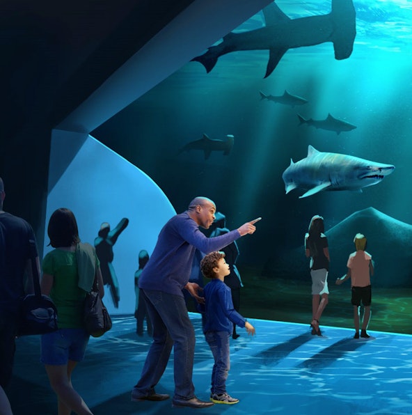 A deep dive into Georgia Aquarium Atlanta