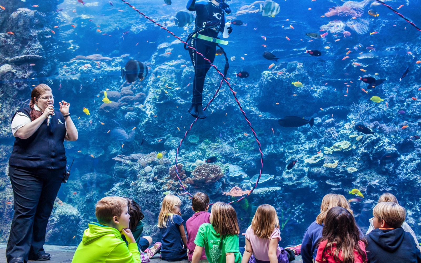 Georgia Aquarium
