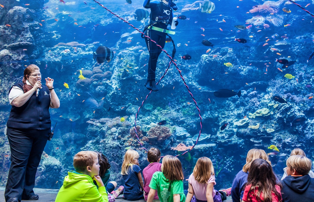 Ingressos aquario de atlanta estados unidos