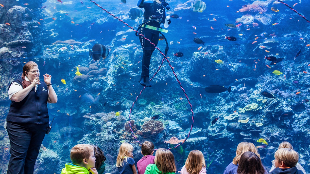 visitar o aquario de atlanta estados unidos