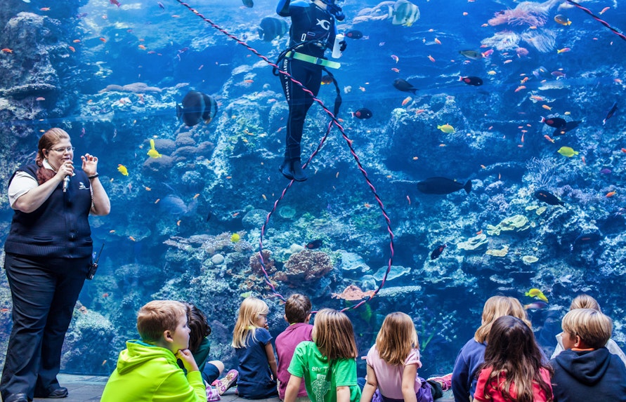 Book Georgia Aquarium Tickets 2021 Exclusive Deals Discounts book-georgia-aquarium-tickets-2021-exclusive-deals-discounts
