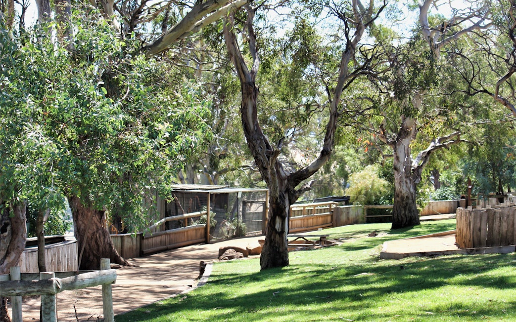 Pathway through trees at Bonorong Wildlife Sanctuary, Tasmania.