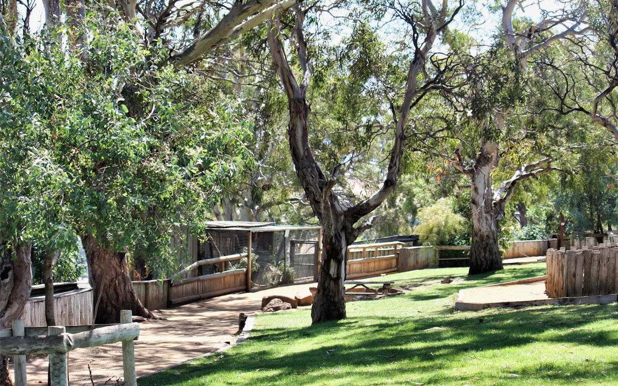 Pathway through trees at Bonorong Wildlife Sanctuary, Tasmania.