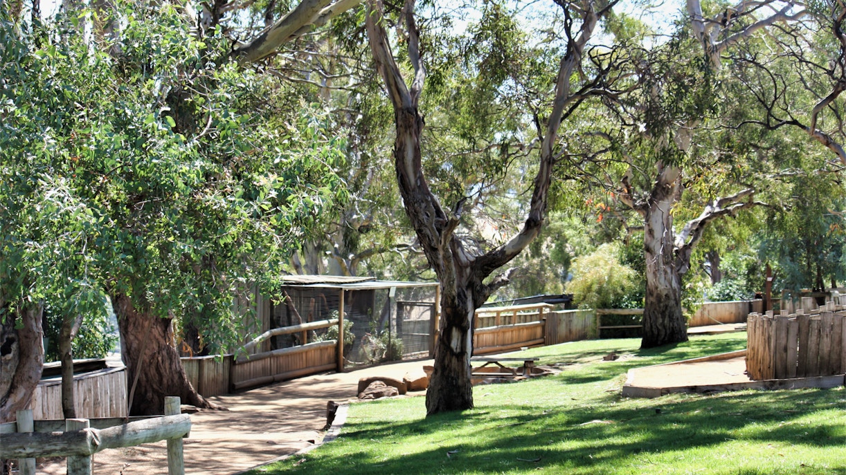 Bonorong Wildlife Sanctuary