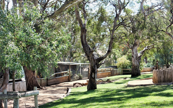 Pathway through trees at Bonorong Wildlife Sanctuary, Tasmania.