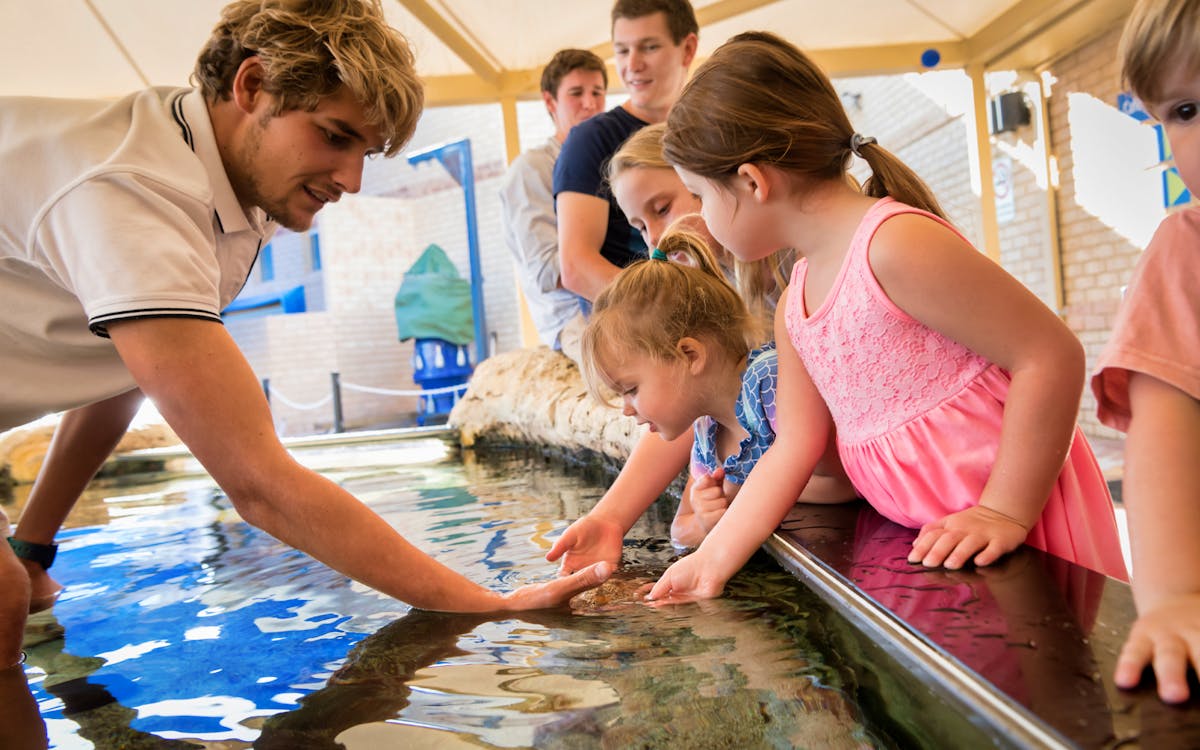 the aquarium of western australia (aqwa) tickets-2 the aquarium of western australia (aqwa) tickets-2