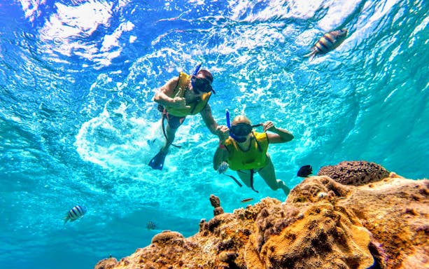 Snorkelers exploring vibrant coral reef during ATV Mud Kicking and Snorkeling Experience.