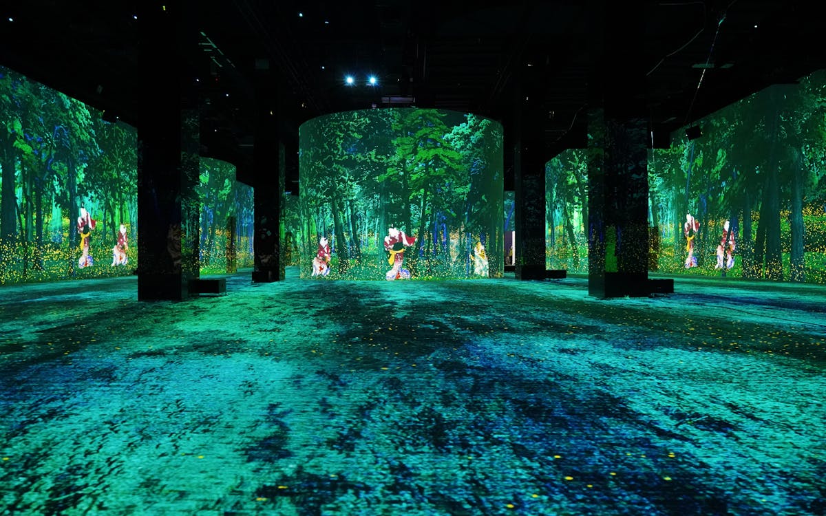infinity des lumières dubai tickets: van gogh, dreamed japan, and verse exhibits-10 infinity des lumières dubai tickets: van gogh, dreamed japan, and verse exhibits-10