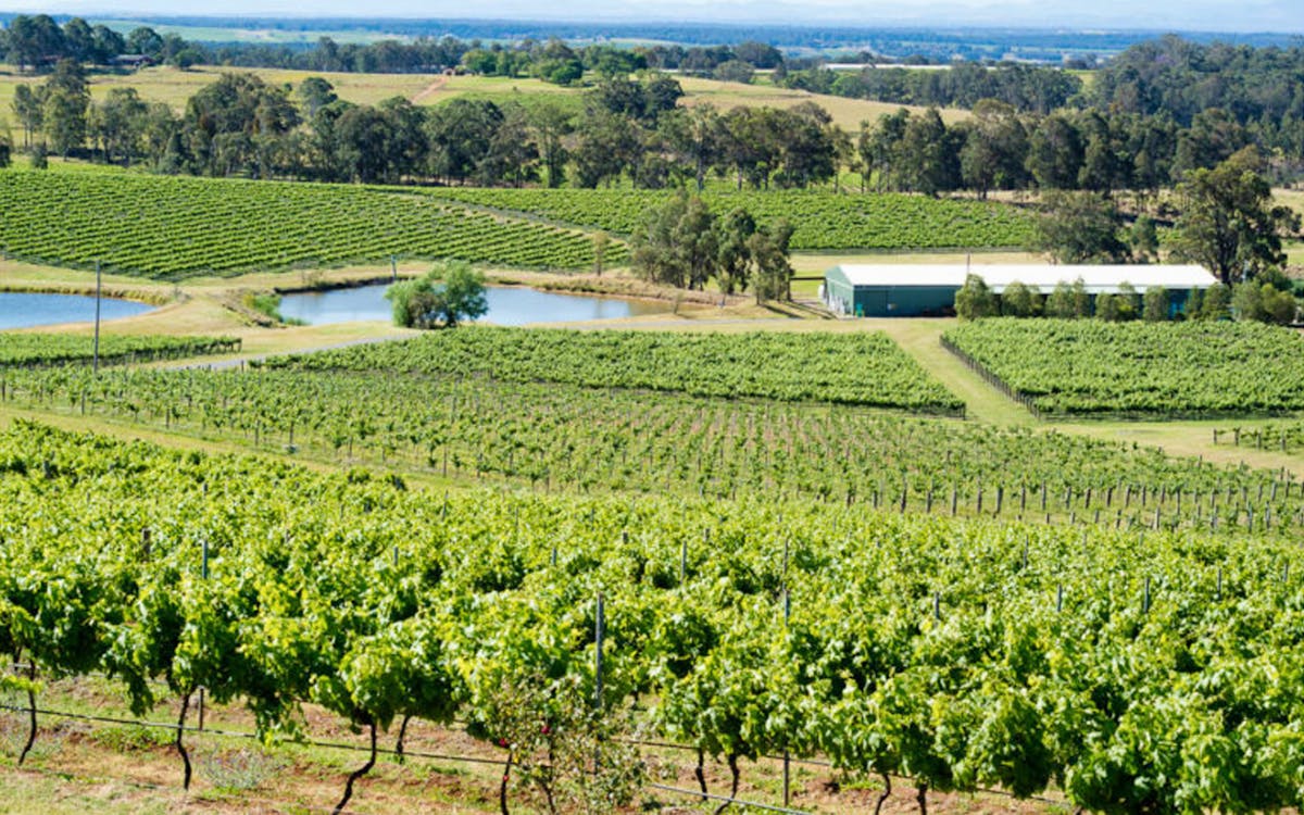 hunter valley wineries & distillery tour-3 hunter valley wineries & distillery tour-3
