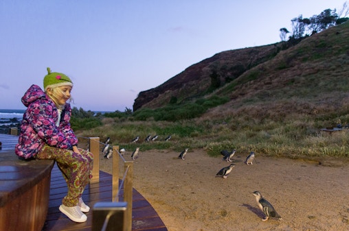 Pass per i 4 parchi di Phillip Island: Parata dei pinguini, Koala, Churchill Island, Viaggio in Antartide