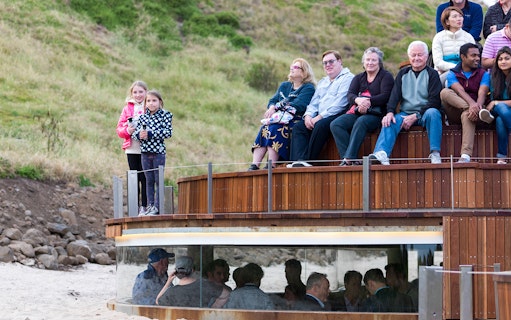 Visitors observing wildlife at Phillip Island Nature Parks viewing platform.
