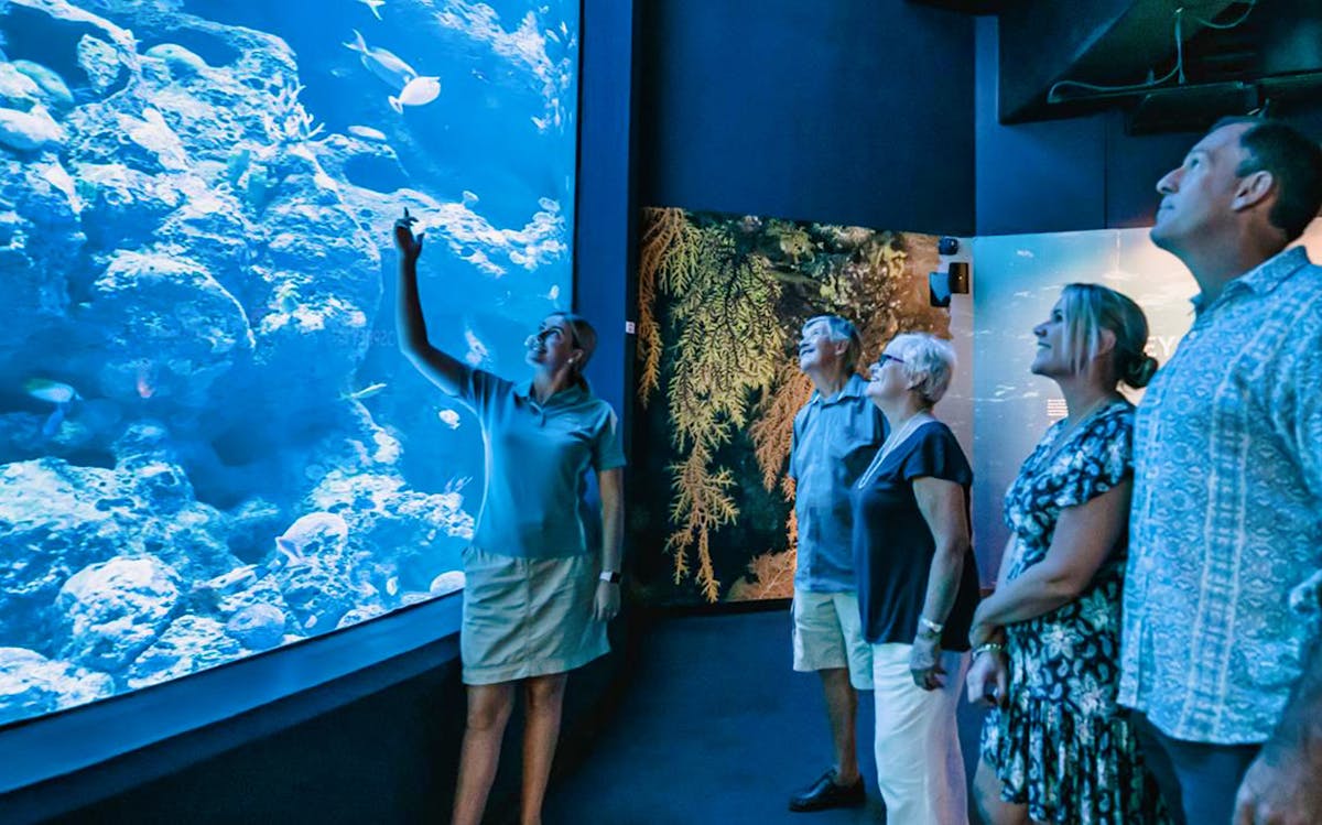 Cairns Aquarium 