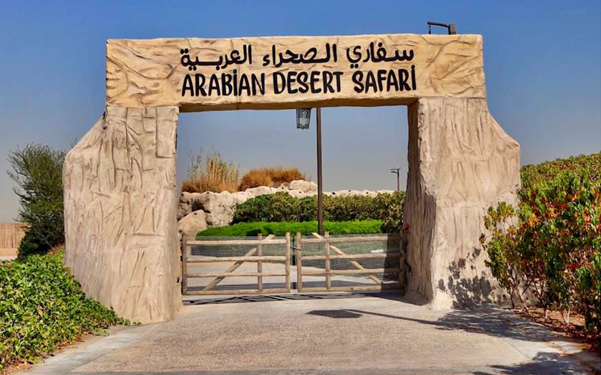 dubai safari park tickets: behind the scenes-5 dubai safari park tickets: behind the scenes-5