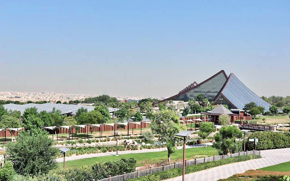 dubai safari park tickets: behind the scenes-4 dubai safari park tickets: behind the scenes-4