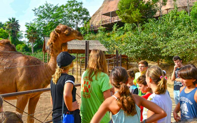 Visitors observing a camel at Terra Natura Benidorm.