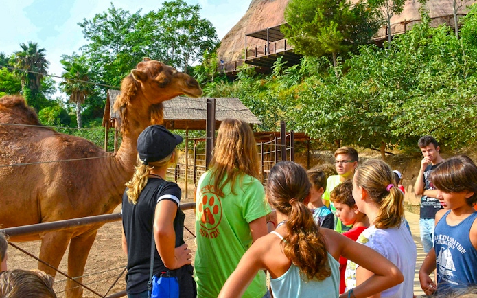 Visitors observing a camel at Terra Natura Benidorm.