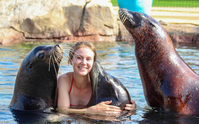 Person interacting with sea lions at Terra Natura Benidorm.