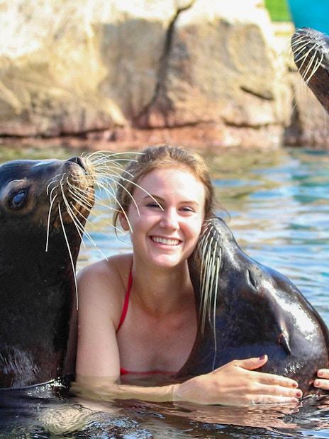 Person interacting with sea lions at Terra Natura Benidorm.