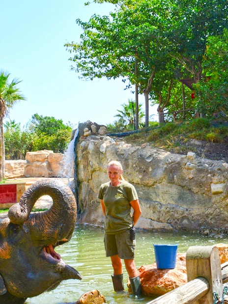 Elephant interaction at Terra Natura Benidorm with visitors feeding and a zookeeper nearby.