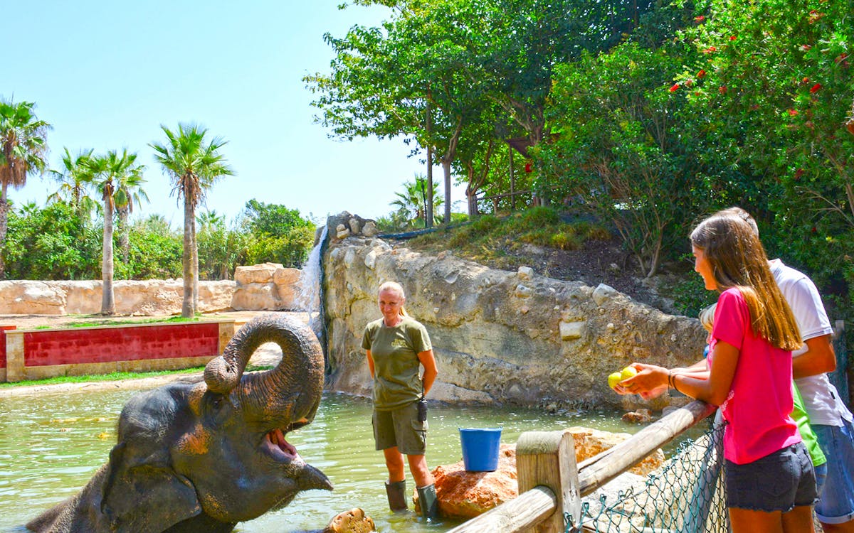 biglietto per terra natura benidorm: accesso rapido-7 biglietto per terra natura benidorm: accesso rapido-7