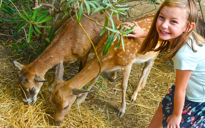 Child petting deer at Terra Natura Benidorm.