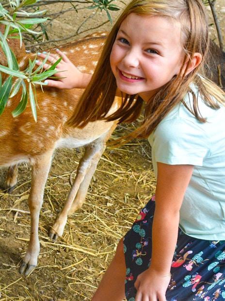 Child petting deer at Terra Natura Benidorm.