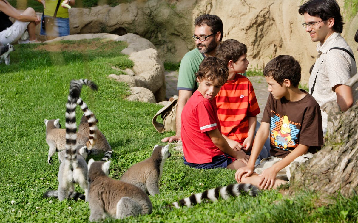 biglietti bioparc valencia: accesso rapido-3 biglietti bioparc valencia: accesso rapido-3