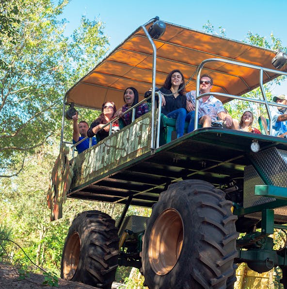 Experience the alligator capital of the world at Gatorland Orlando