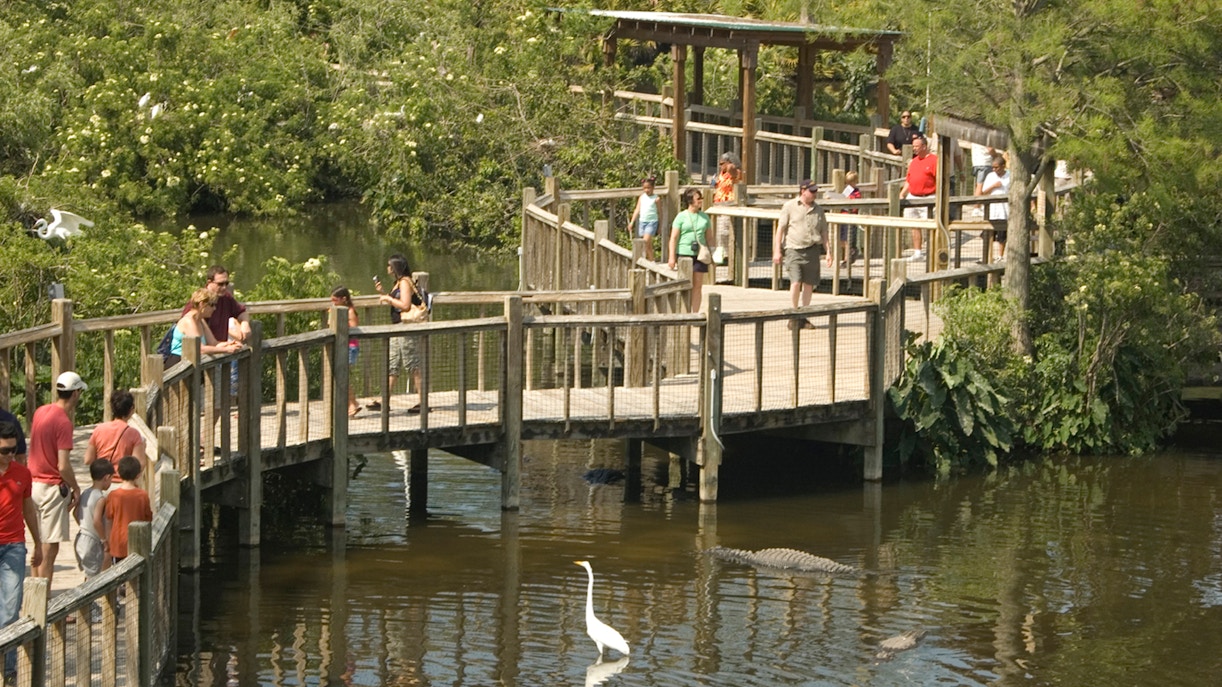 Best time to visit Gatorland