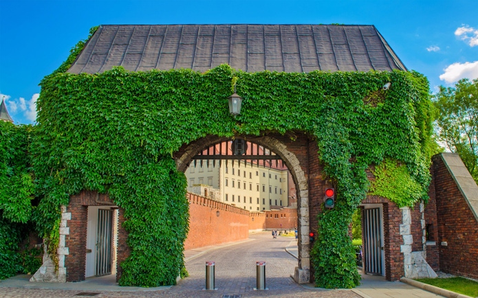 Entrance to Wawel Castle covered in ivy, Krakow, Poland, part of the Wawel Hill Audioguide Tour.