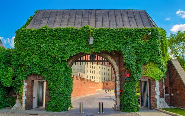 Entrance to Wawel Castle covered in ivy, Krakow, Poland, part of the Wawel Hill Audioguide Tour.