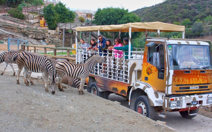 Tourists on safari truck observing zebras at Selwo Aventura, Spain.