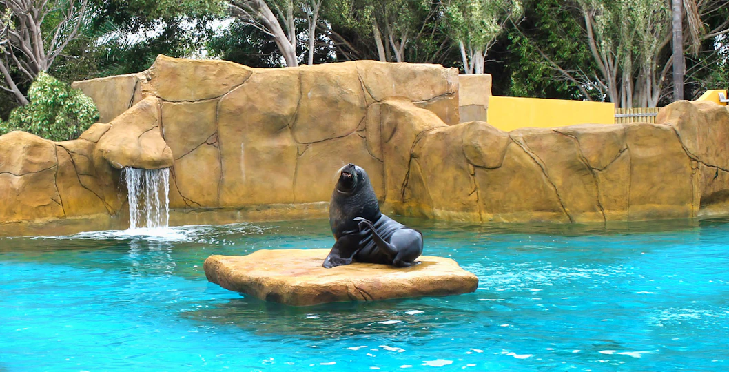 Selwo Marina Aquarium