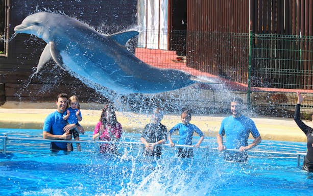 Dolphin leaping over water at Selwo Marina with visitors watching.