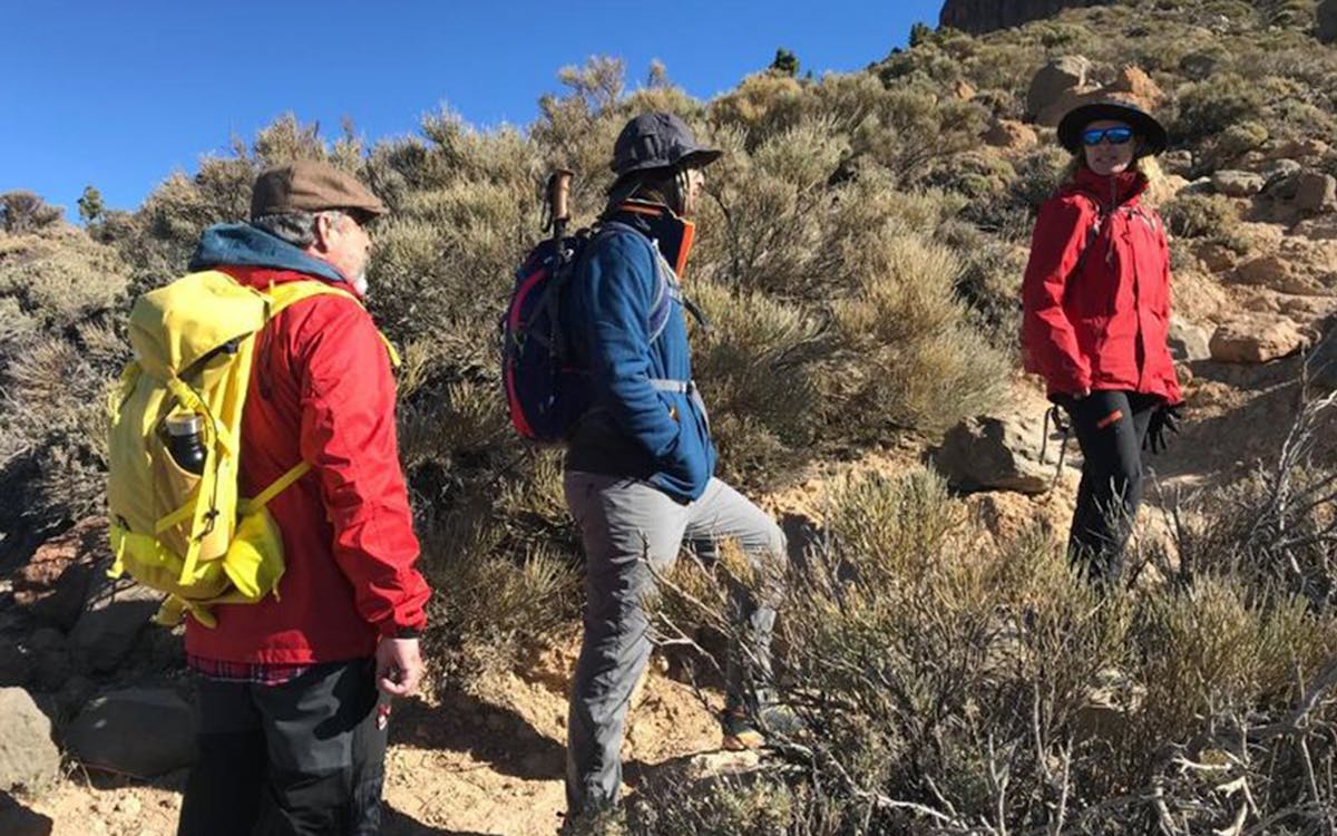 mount teide: guided tour with cable car tickets-5 mount teide: guided tour with cable car tickets-5