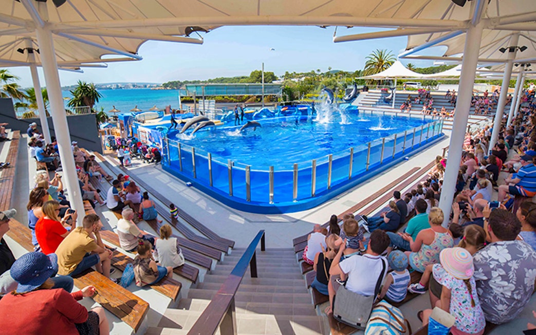 Crowd watching dolphin show at Marineland Mallorca.