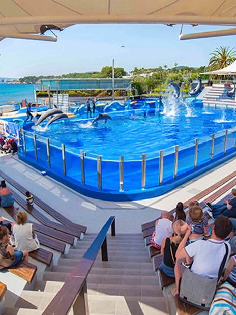 Crowd watching dolphin show at Marineland Mallorca.