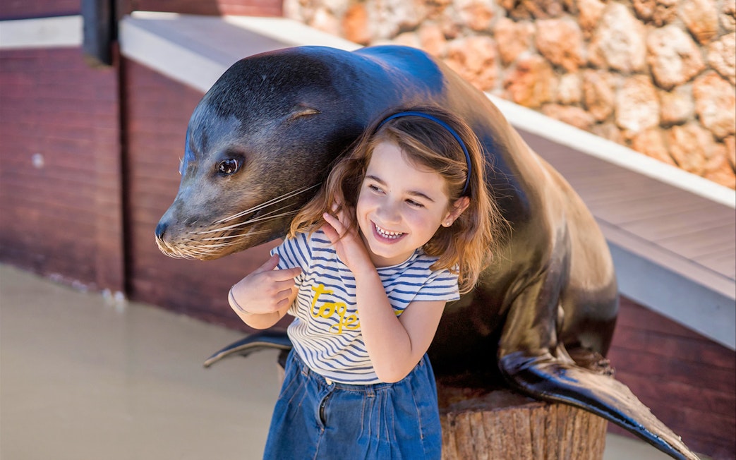 Child interacting with a seal at Marineland Mallorca entrance.