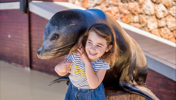 Seal positioned onto the back of a little girl