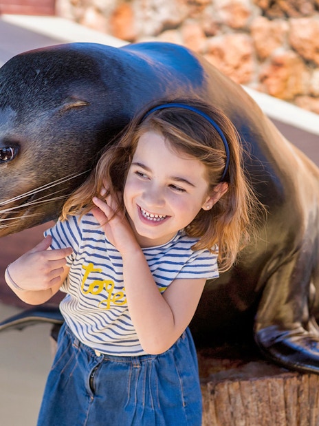 Child interacting with a seal at Marineland Mallorca entrance.
