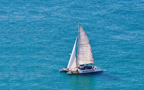 Catamaran sailing on blue waters during a Valencia boat tour.