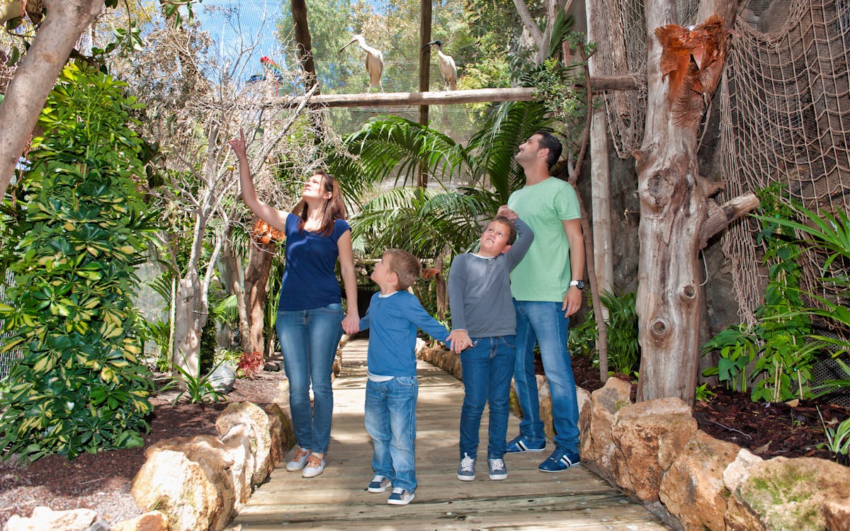 jungle park : skip the line tickets -0 jungle park : skip the line tickets -0