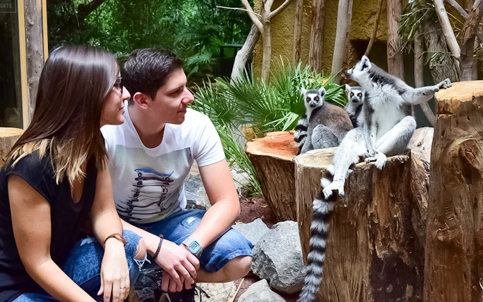 Visitors observing lemurs at Jungle Park.