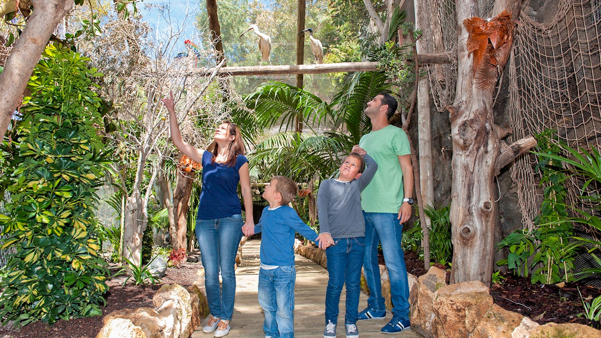 jungle park tenerife tickets