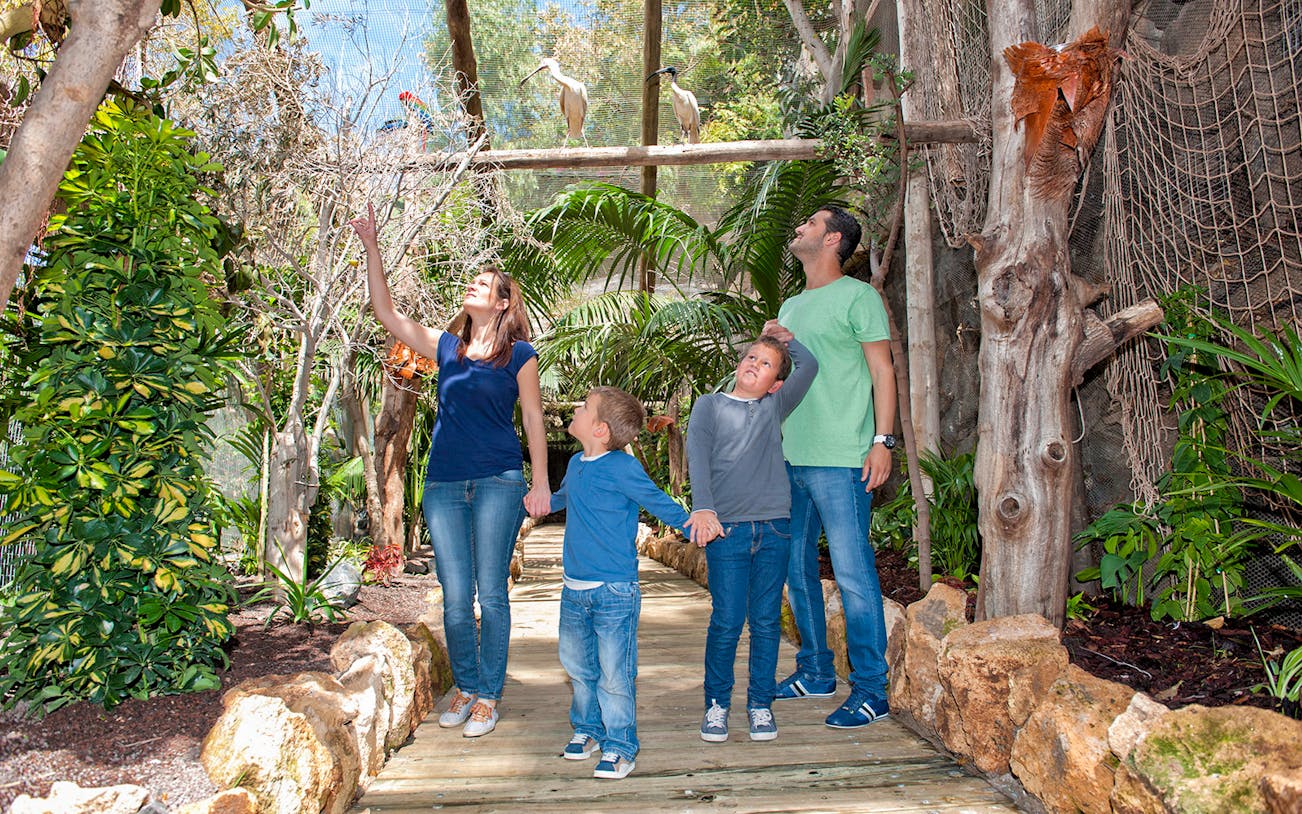 Family exploring aviary at Jungle Park with exotic birds.