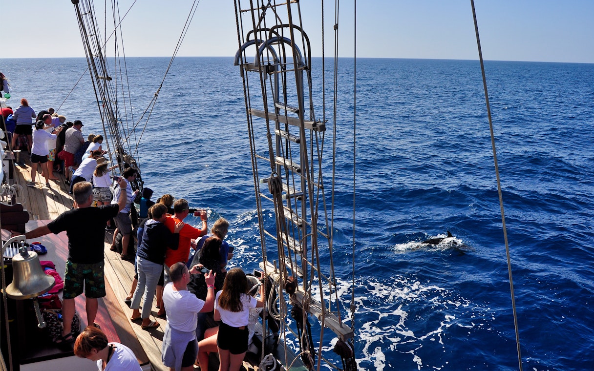 Tourists on a pirate ship watching dolphins in Fuerteventura's ocean.