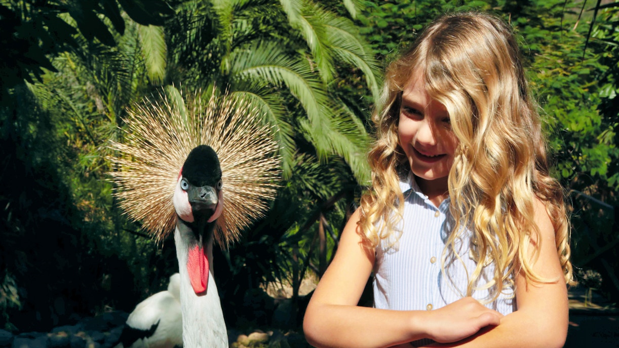 palmitos park tickets